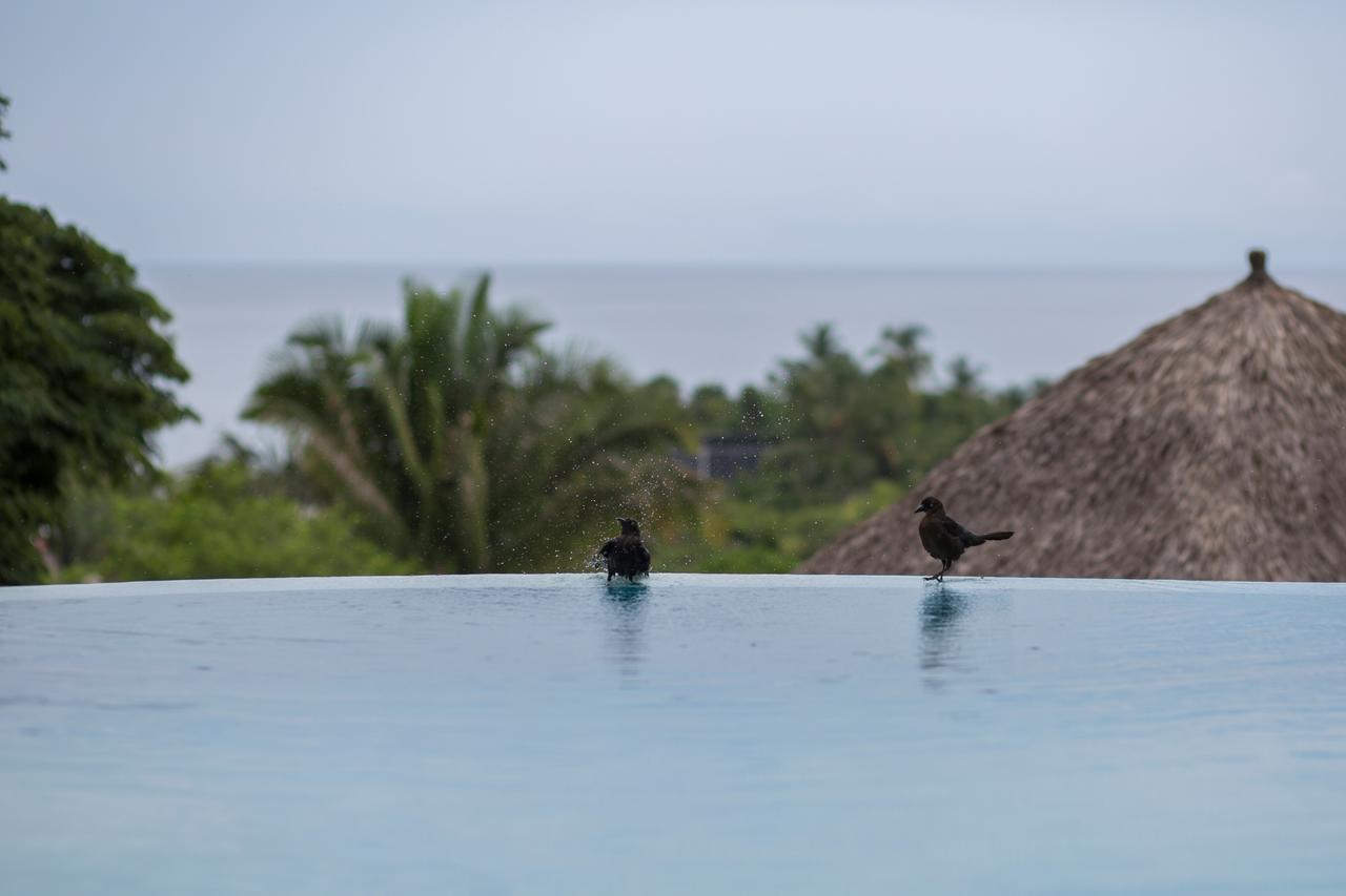 Anjali Casa Divina Ξενοδοχείο Sayulita Εξωτερικό φωτογραφία